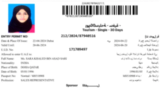 UAE Visas Online